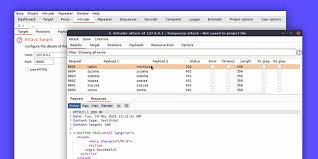 Burp Suite Professional Crack V2025.6.1 أحدث إصدار وتنزيله
